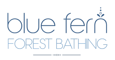 Blue Fern Forest Bathing Logo